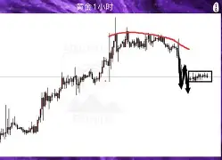 鐞嗗厜c6004 鐞嗗厜c6004